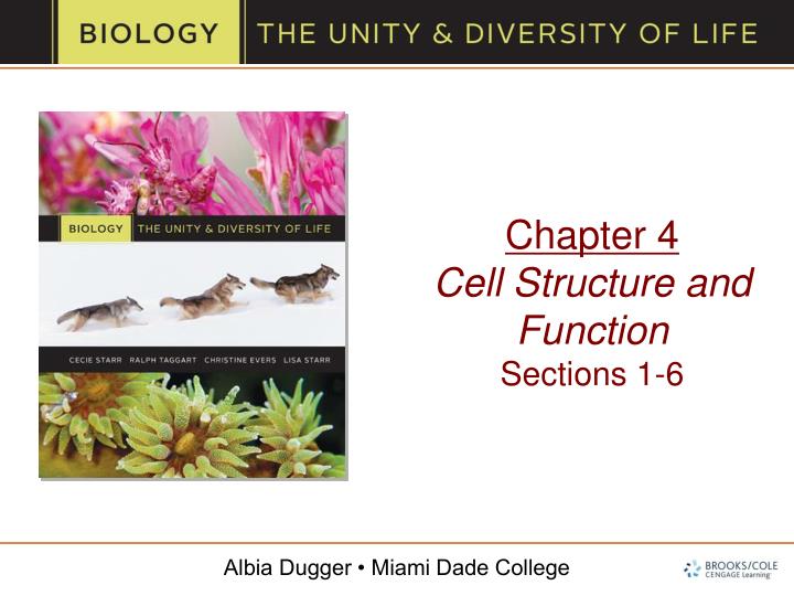 chapter 4 cell structure and function sections 1 6