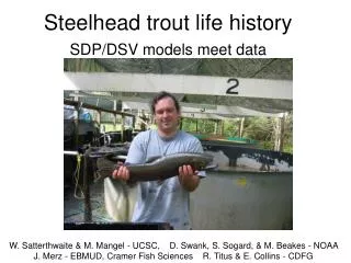 Steelhead trout life history