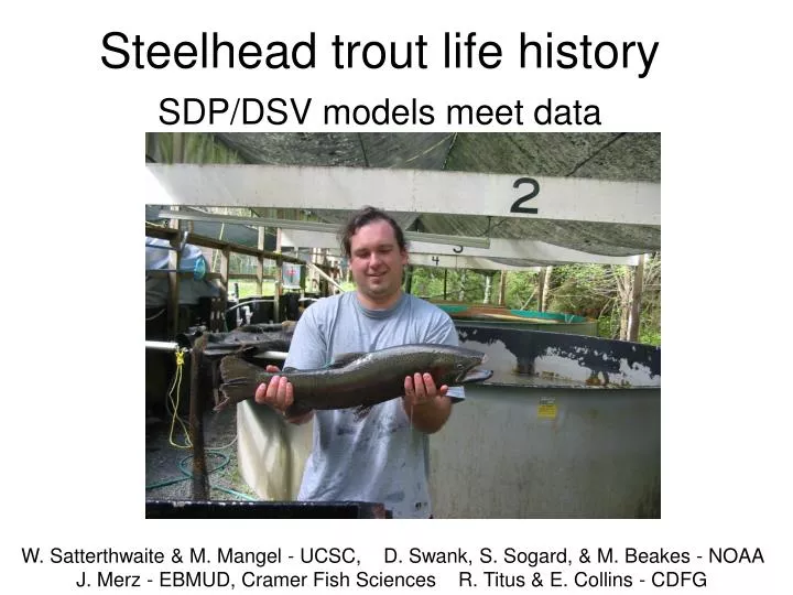 steelhead trout life history