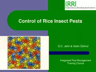 Control of Rice Insect Pests