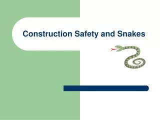 Construction Safety and Snakes
