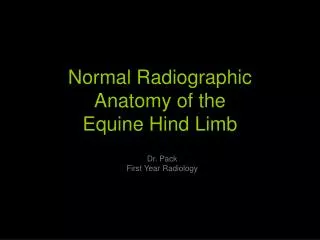 Normal Radiographic Anatomy of the Equine Hind Limb