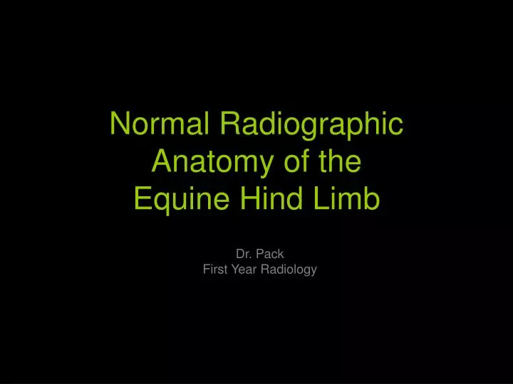 normal radiographic anatomy of the equine hind limb