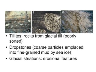 Tillites: rocks from glacial till (poorly sorted) Dropstones (coarse particles emplaced into fine-grained mud by sea ice