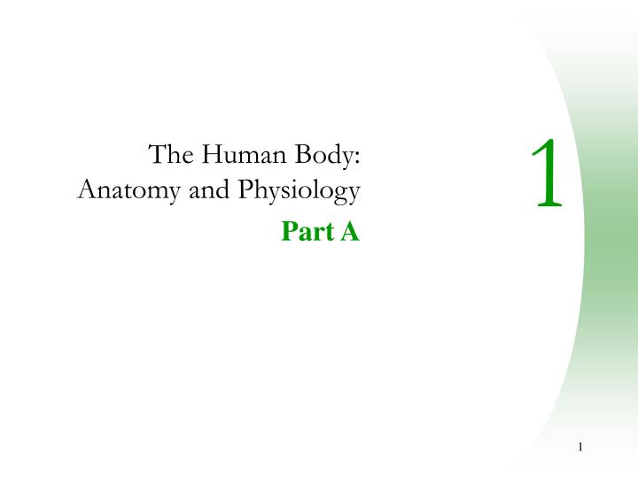 the human body anatomy and physiology part a