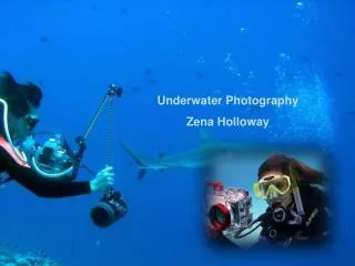 Underwater Photography Zena Holloway