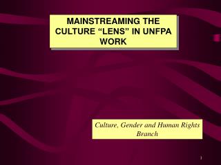 MAINSTREAMING THE CULTURE “LENS” IN UNFPA WORK