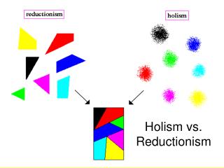 Holism vs. Reductionism