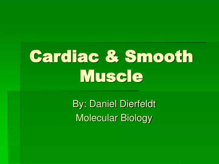 cardiac smooth muscle