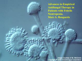 Advances in Empirical Antifungal Therapy in Patients with Febrile Neutropenia. Marc A. Boogaerts