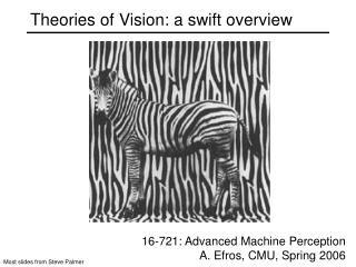 Theories of Vision: a swift overview