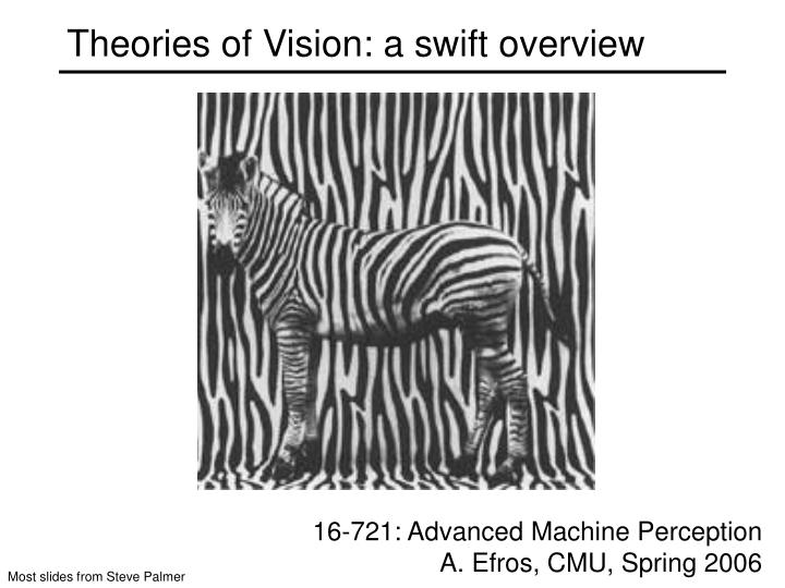 theories of vision a swift overview