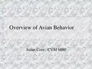 Overview of Avian Behavior