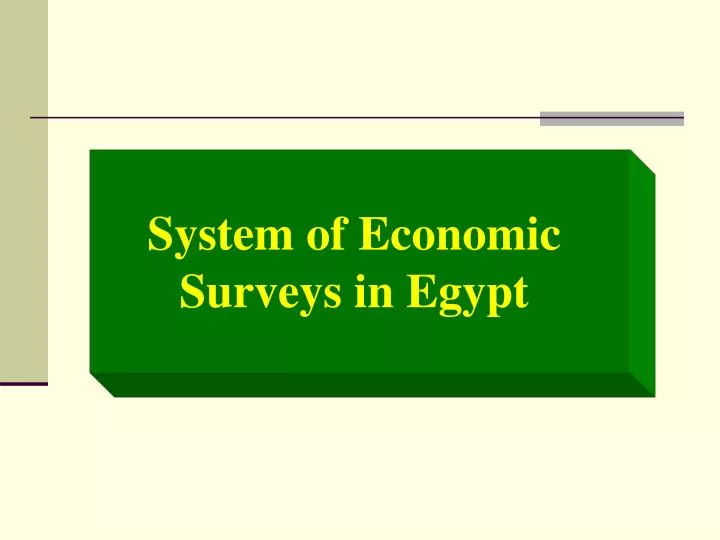 system of economic surveys in egypt