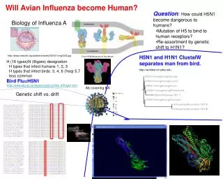 Biology of Influenza A