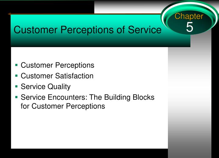 customer perceptions of service