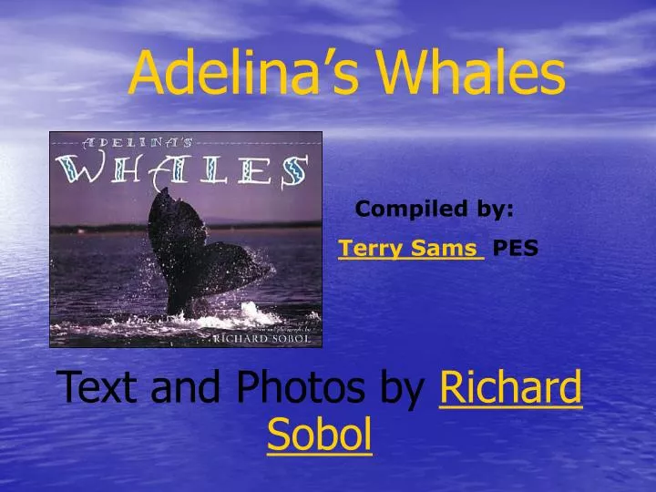 adelina s whales