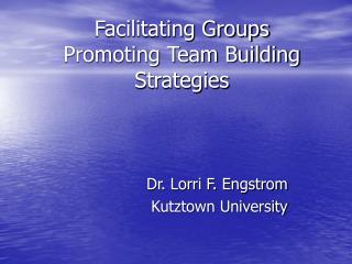 Facilitating Groups Promoting Team Building Strategies