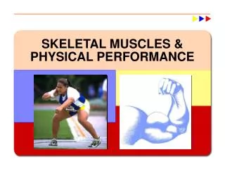 SKELETAL MUSCLES &amp; PHYSICAL PERFORMANCE