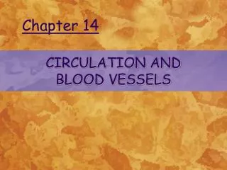 CIRCULATION AND BLOOD VESSELS