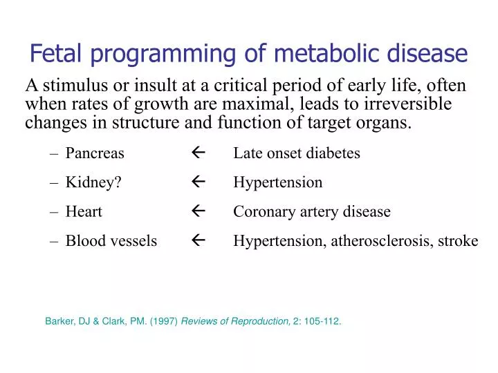 fetal programming of metabolic disease