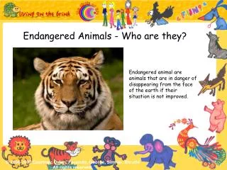 Endangered Animals - Who are they?