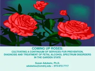 COMING UP ROSES: CULTIVATING A CONTINUUM OF SERVICES FOR PREVENTION, DIAGNOSIS AND TREATMENT OF FETAL ALCOHOL SPECTRUM