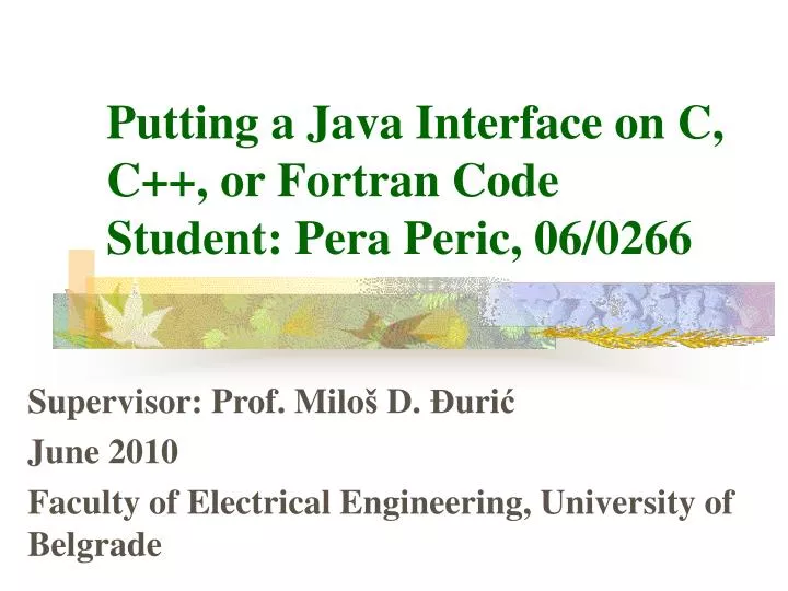 putting a java interface on c c or fortran code student pera peric 06 0266