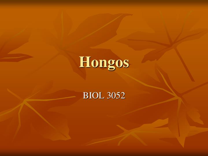 hongos