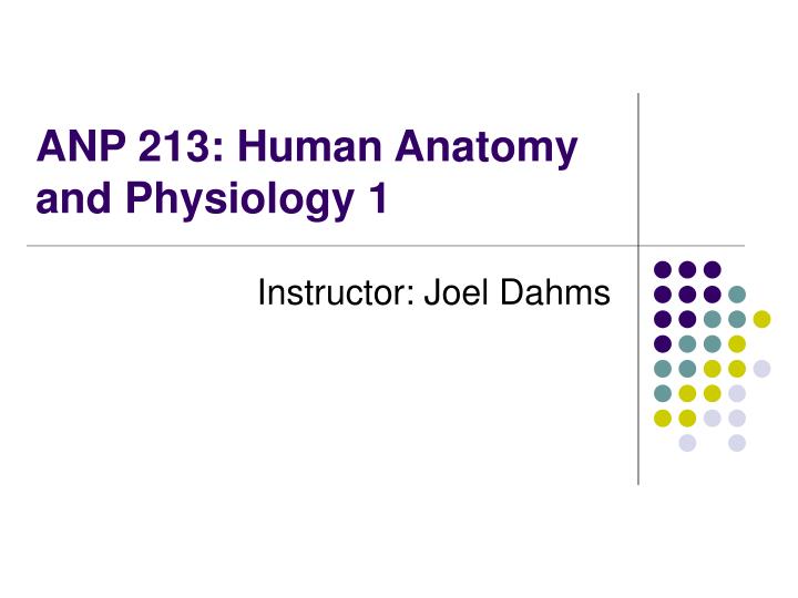anp 213 human anatomy and physiology 1
