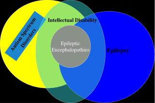 Autism Spectrum Disorders