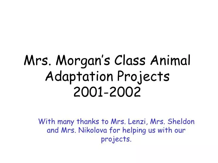 mrs morgan s class animal adaptation projects 2001 2002