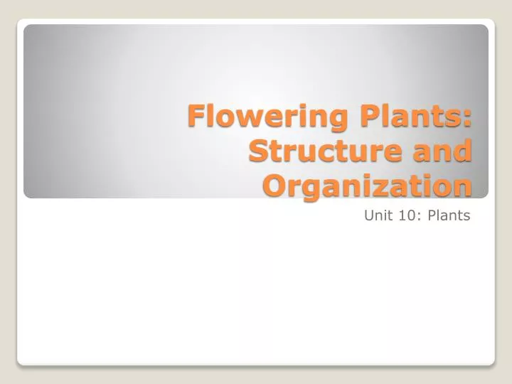 flowering plants structure and organization