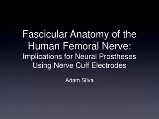 Fascicular Anatomy of the Human Femoral Nerve: Implications for Neural Prostheses Using Nerve Cuff Electrodes