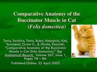 Comparative Anatomy of the Buccinator Muscle in Cat ( Felis domestica )