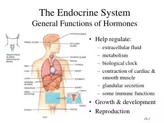 The Endocrine System General Functions of Hormones