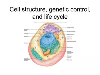 Cell structure, genetic control, and life cycle
