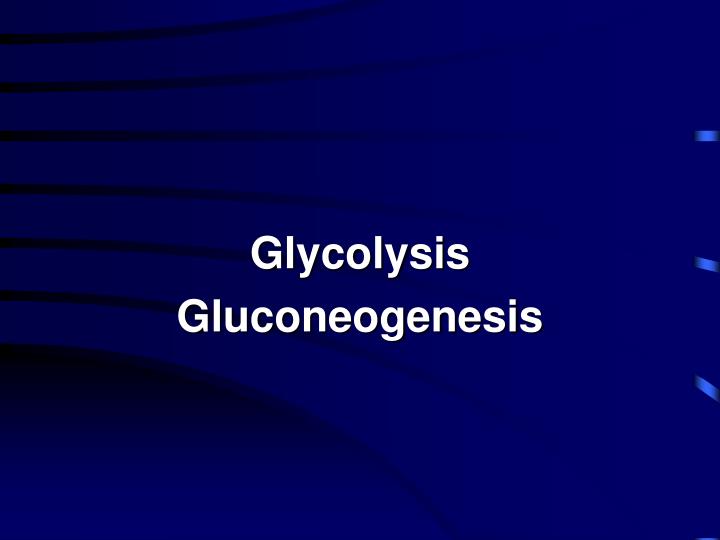 glycolysis gluconeogenesis