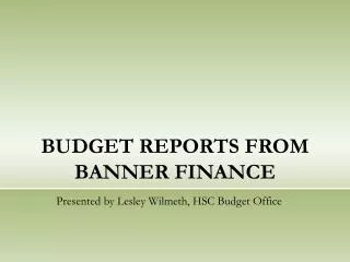BUDGET REPORTS FROM BANNER FINANCE