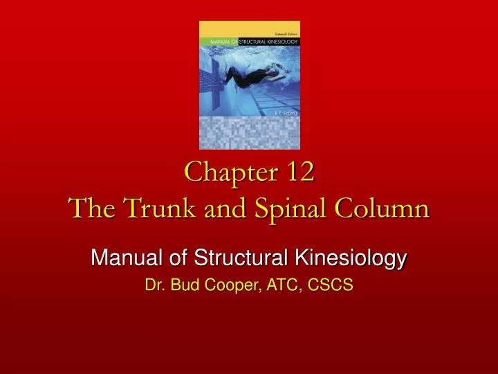 chapter 12 the trunk and spinal column