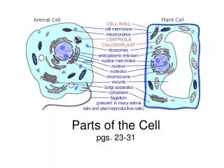 Parts of the Cell pgs. 23-31