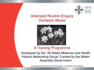 Antenatal Routine Enquiry Domestic Abuse