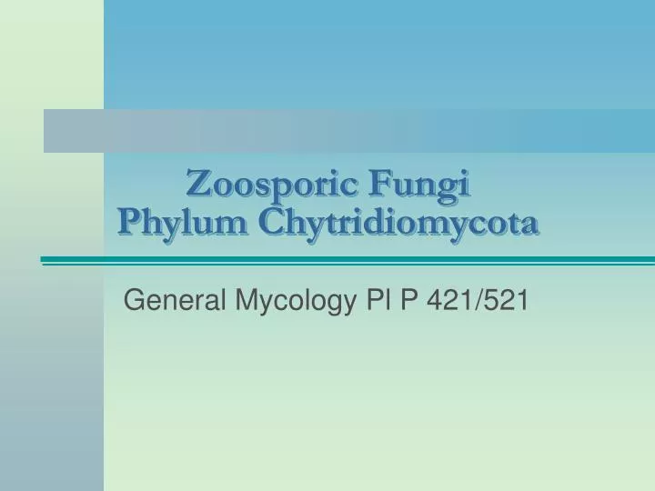 zoosporic fungi phylum chytridiomycota