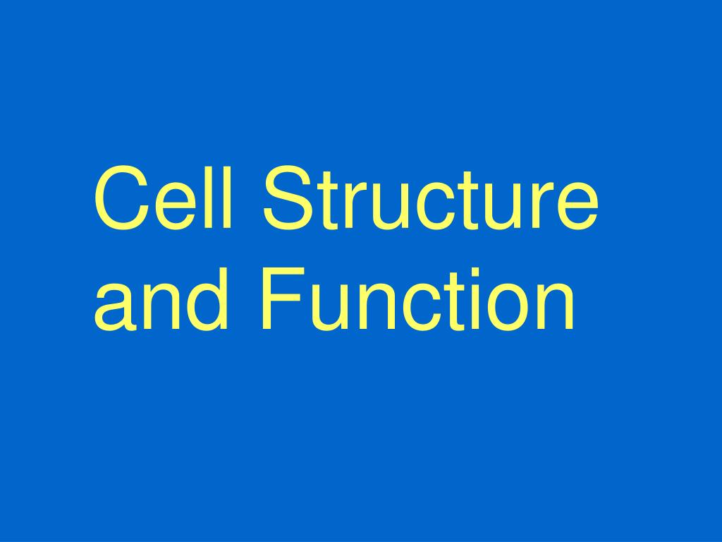 PPT - Cell Structure and Function PowerPoint Presentation, free ...