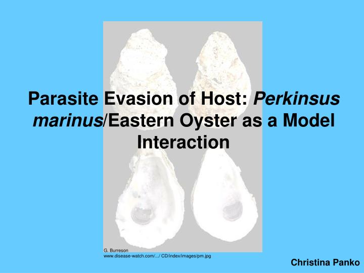 parasite evasion of host perkinsus marinus eastern oyster as a model interaction