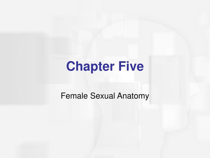 female sexual anatomy