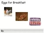 Eggs for Breakfast - slide 1