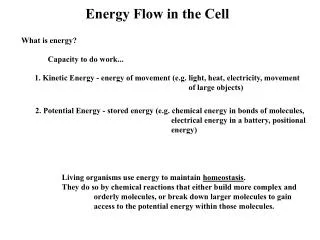 energy flow in the cell