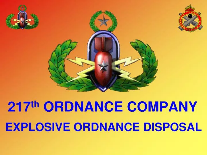 217 th ordnance company