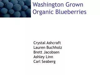 Washington Grown Organic Blueberries